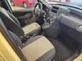Fiat Panda Panda  1.2 Dynamic Gpl Giallo - thumbnail 4