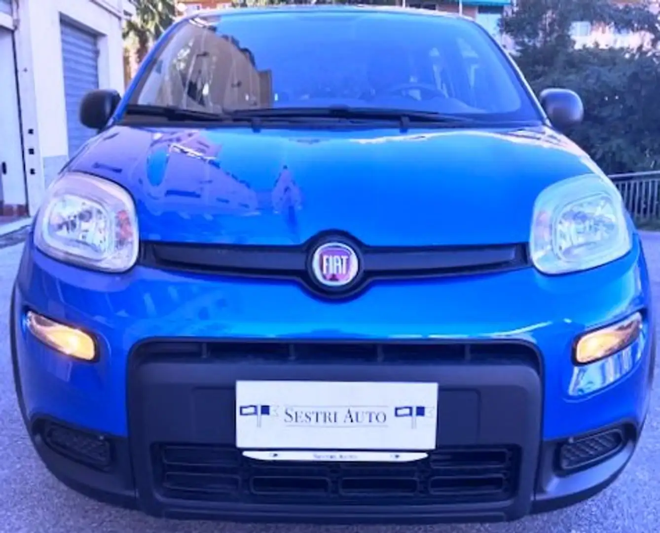 Fiat Panda Hybrid 1.0i 70CV Blu/Azzurro - 2