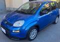 Fiat Panda Hybrid 1.0i 70CV Blu/Azzurro - thumbnail 3