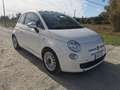 Fiat 500 500 1.3 mjt 16v Pop Star 95cv my14 Bianco - thumbnail 4