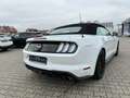 Ford Mustang GT 5.0 Cabriolet White - thumbnail 7