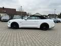 Ford Mustang GT 5.0 Cabriolet White - thumbnail 5