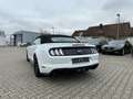 Ford Mustang GT 5.0 Cabriolet White - thumbnail 6