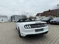 Ford Mustang GT 5.0 Cabriolet Weiß - thumbnail 13