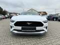 Ford Mustang GT 5.0 Cabriolet White - thumbnail 11