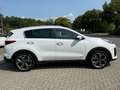 Kia Sportage GT-Line 4WD 360KAMERA-PANO-LED-LANE-ACC Weiß - thumbnail 3