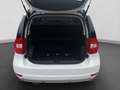 Skoda Yeti 1.2 TSI ACTIVE SITZHZG GJR Weiß - thumbnail 14