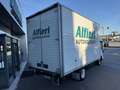 Isuzu N35 M21 Container 120cv E6D  4500x2060x2300 kg 1000 Weiß - thumbnail 5