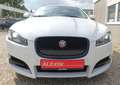 Jaguar XF Sportbrake3.0 V6D/Xenon/Lenkradheiz/Vollleder Weiß - thumbnail 3