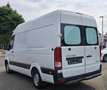 Hyundai H350 Kasten Kasten L3H2 Profi Lade-Rampe+ZV+ABS+Sp Wit - thumbnail 4