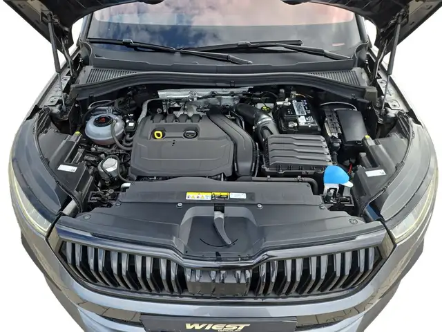 Skoda Kodiaq view 12
