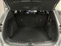Ford Kuga Kuga III 2020 1.5 ecoblue ST-Line X 2wd 120cv auto Grau - thumbnail 14