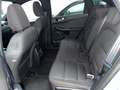 Ford Kuga Kuga III 2020 1.5 ecoblue ST-Line X 2wd 120cv auto Grau - thumbnail 13