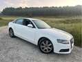 Audi A4 A4 2.0TDI DPF 143 Blanco - thumbnail 2