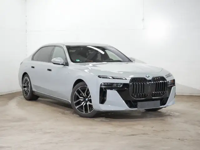 BMW 7 Series view 13