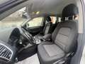 Audi Q5 Advanced Plus quattro 177cv s-tronic Bianco - thumbnail 7