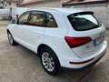 Audi Q5 Advanced Plus quattro 177cv s-tronic Bianco - thumbnail 2