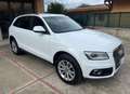 Audi Q5 Advanced Plus quattro 177cv s-tronic Bianco - thumbnail 5