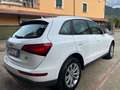 Audi Q5 Advanced Plus quattro 177cv s-tronic Bianco - thumbnail 4