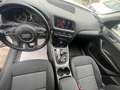 Audi Q5 Advanced Plus quattro 177cv s-tronic Bianco - thumbnail 8