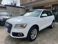 Audi Q5 Advanced Plus quattro 177cv s-tronic Bianco - thumbnail 1