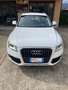 Audi Q5 Advanced Plus quattro 177cv s-tronic Bianco - thumbnail 6