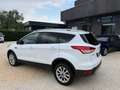 Ford Kuga 2.0 tdci Titanium 4wd s&s 150cv powershift E6 Bianco - thumbnail 7