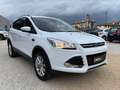 Ford Kuga 2.0 tdci Titanium 4wd s&s 150cv powershift E6 Bianco - thumbnail 3