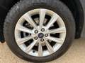 Ford Kuga 2.0 tdci Titanium 4wd s&s 150cv powershift E6 Bianco - thumbnail 12