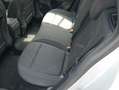 Ford Focus Focus SW 1.0 ecoboost h ST-Line X 125cv powershift Zilver - thumbnail 8