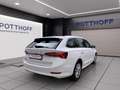 Skoda Octavia Combi 2.0 TDI DSG STYLE HuD STDHZG AHK Weiß - thumbnail 5