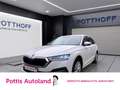Skoda Octavia Combi 2.0 TDI DSG STYLE HuD STDHZG AHK Weiß - thumbnail 1