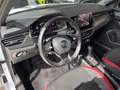 Skoda Kamiq Monte Carlo AHK PANO LED Blanco - thumbnail 8