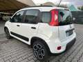 Fiat Panda 1.0 Hybrid City Life uniproprietario Blanc - thumbnail 4