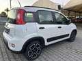 Fiat Panda 1.0 Hybrid City Life uniproprietario Blanc - thumbnail 3