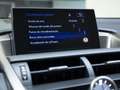 Lexus NX 300 300h Luxury 4WD Noir - thumbnail 30