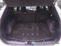 Ford Kuga 2.5 Duratec FHEV ST-Line AWD Aut. Blanco - thumbnail 20
