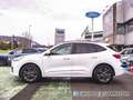 Ford Kuga 2.5 Duratec FHEV ST-Line AWD Aut. Wit - thumbnail 12