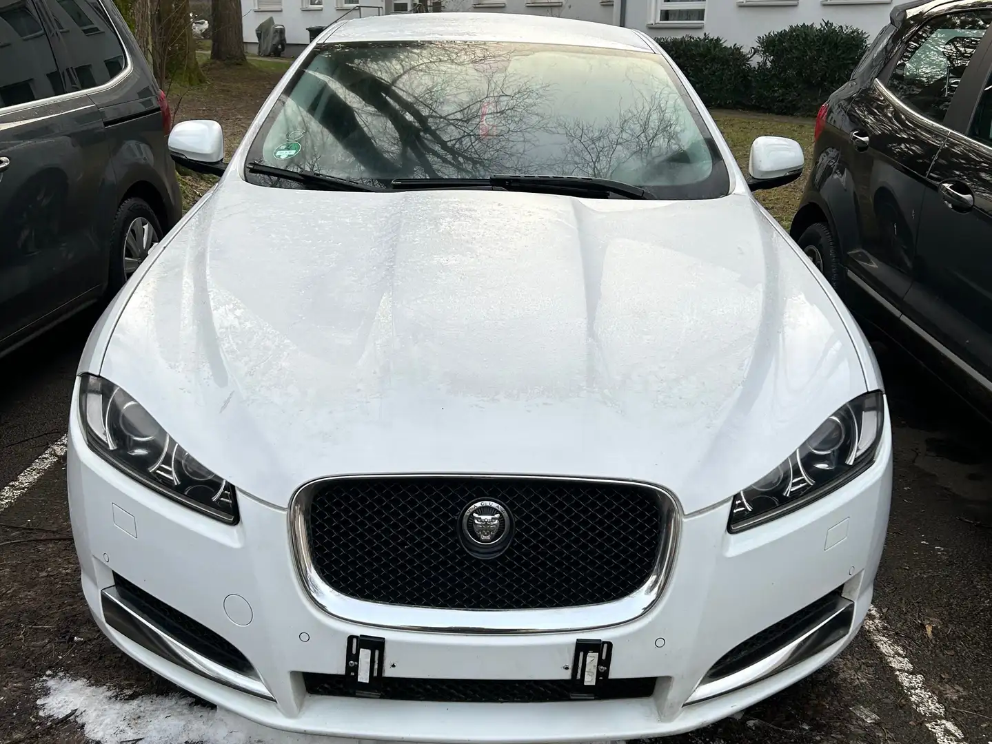 Jaguar XF Sline Fehér - 2