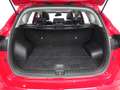 Hyundai TUCSON 1.6 CRDI 85kW (116CV) 48V Klass 4X2 - thumbnail 14