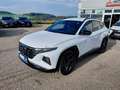 Hyundai TUCSON NX4 Trend Line PLUS 1,6 CRDi 4WD 48V DCT Weiß - thumbnail 1