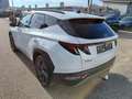 Hyundai TUCSON NX4 Trend Line PLUS 1,6 CRDi 4WD 48V DCT Weiß - thumbnail 2