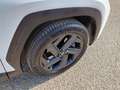 Hyundai TUCSON NX4 Trend Line PLUS 1,6 CRDi 4WD 48V DCT Weiß - thumbnail 3