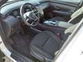 Hyundai TUCSON NX4 Trend Line PLUS 1,6 CRDi 4WD 48V DCT Weiß - thumbnail 14