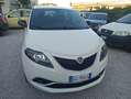 Lancia Ypsilon Ypsilon 1.0 firefly hybrid Silver s Blanc - thumbnail 9