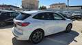 Ford Kuga 2.5 DURATEC 190H 150 HYBRID FHEV 1.1KWH ST-LINE 4X Blanc - thumbnail 5