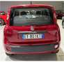 Fiat Panda Benzina Km 90.000 - thumbnail 5