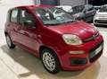 Fiat Panda Benzina Km 90.000 - thumbnail 7