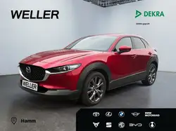 Mazda CX-30 Selection*Bose*Matrix*HUD*Kamera*ACC*
