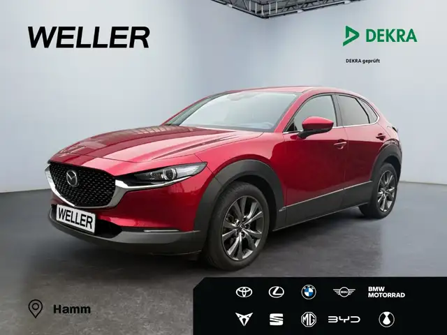 Mazda CX-30 Selection*Bose*Matrix*HUD*Kamera*ACC*
